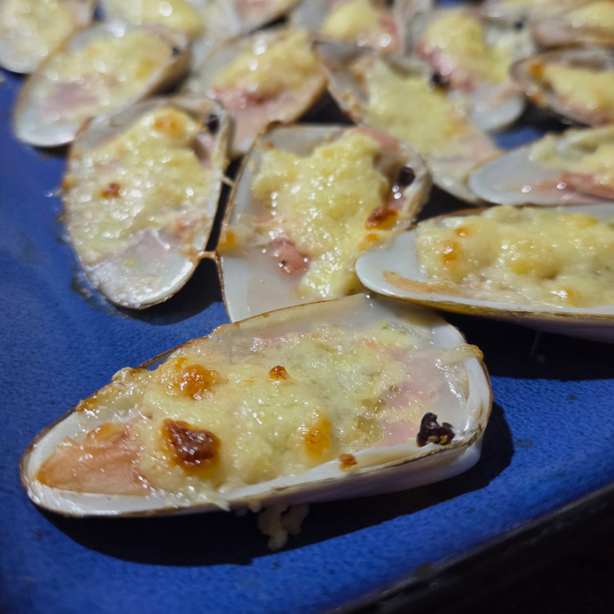 Machas a la Parmesana 10 uds